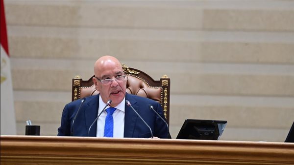 المستشار هشام بدوى