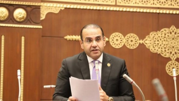 المهندس محمد المنزلاوى عضو مجلس الشيوخ
