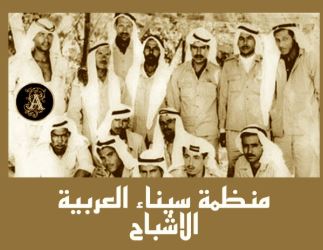 أشباح سيناء