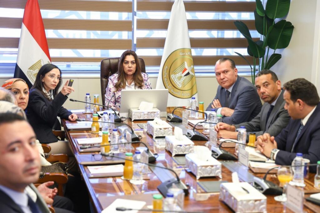 التنمية المحلية