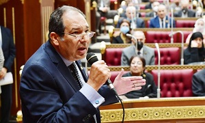 النائب حسام الخولي