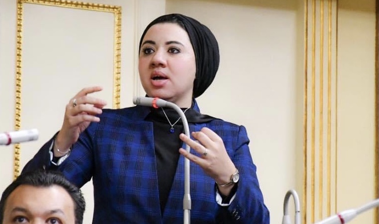 النائبة أميرة صابر