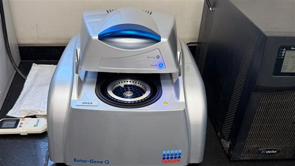 PCR