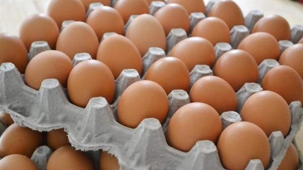أسعار البيض