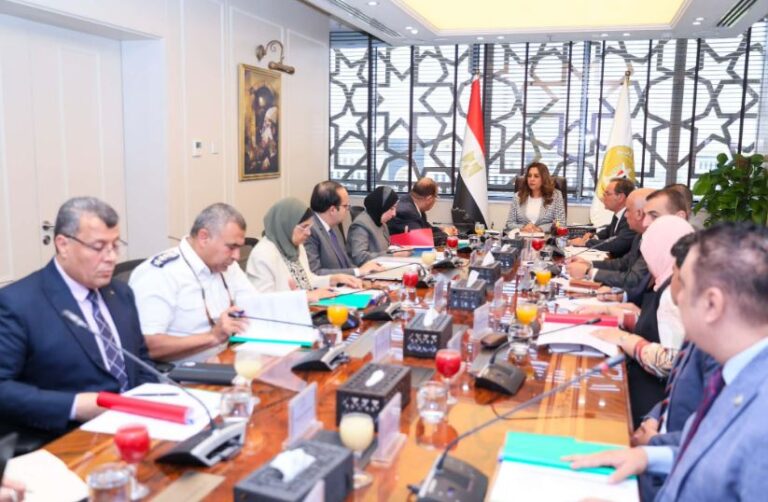 الدكتورة منال عوض وزيرة التنمية المحلية والبيئة