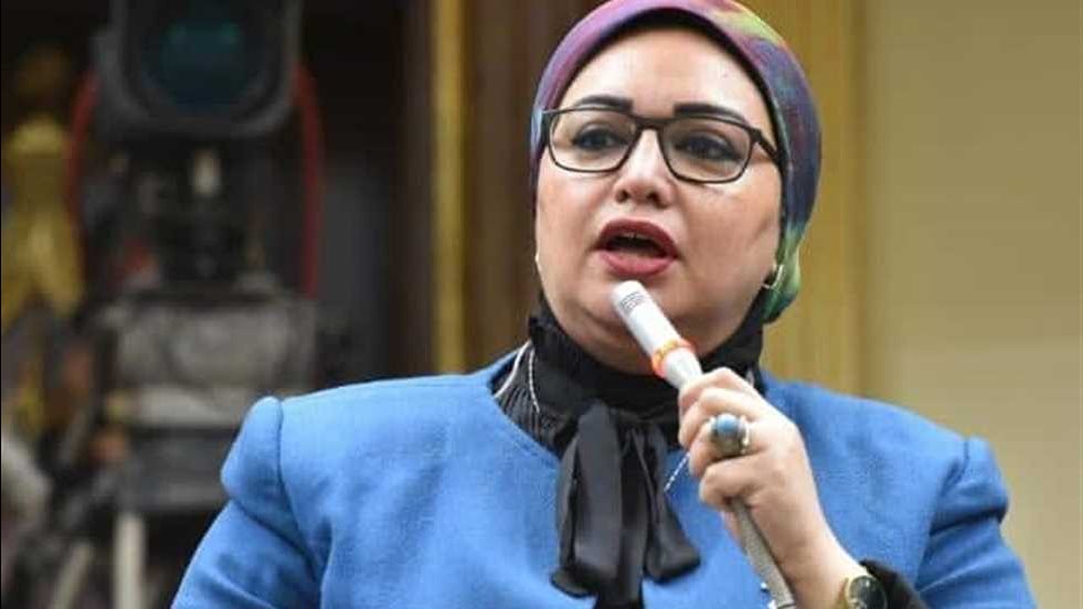 سولاف درويش، عضو لجنة القوى العاملة بالنواب