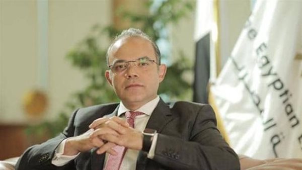 وزير الاستثمار