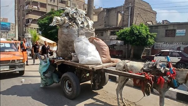 محافظ الدقهلية