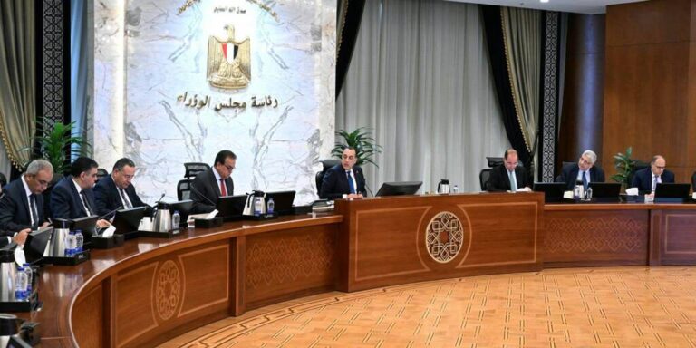 رئيس الوزراء يتابع جهود تطوير المنظومة الدوائية وتعزيز صناعة الدواء في مصر